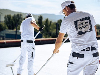 About Leaking Skylight Repair Pros Seligman, AZ